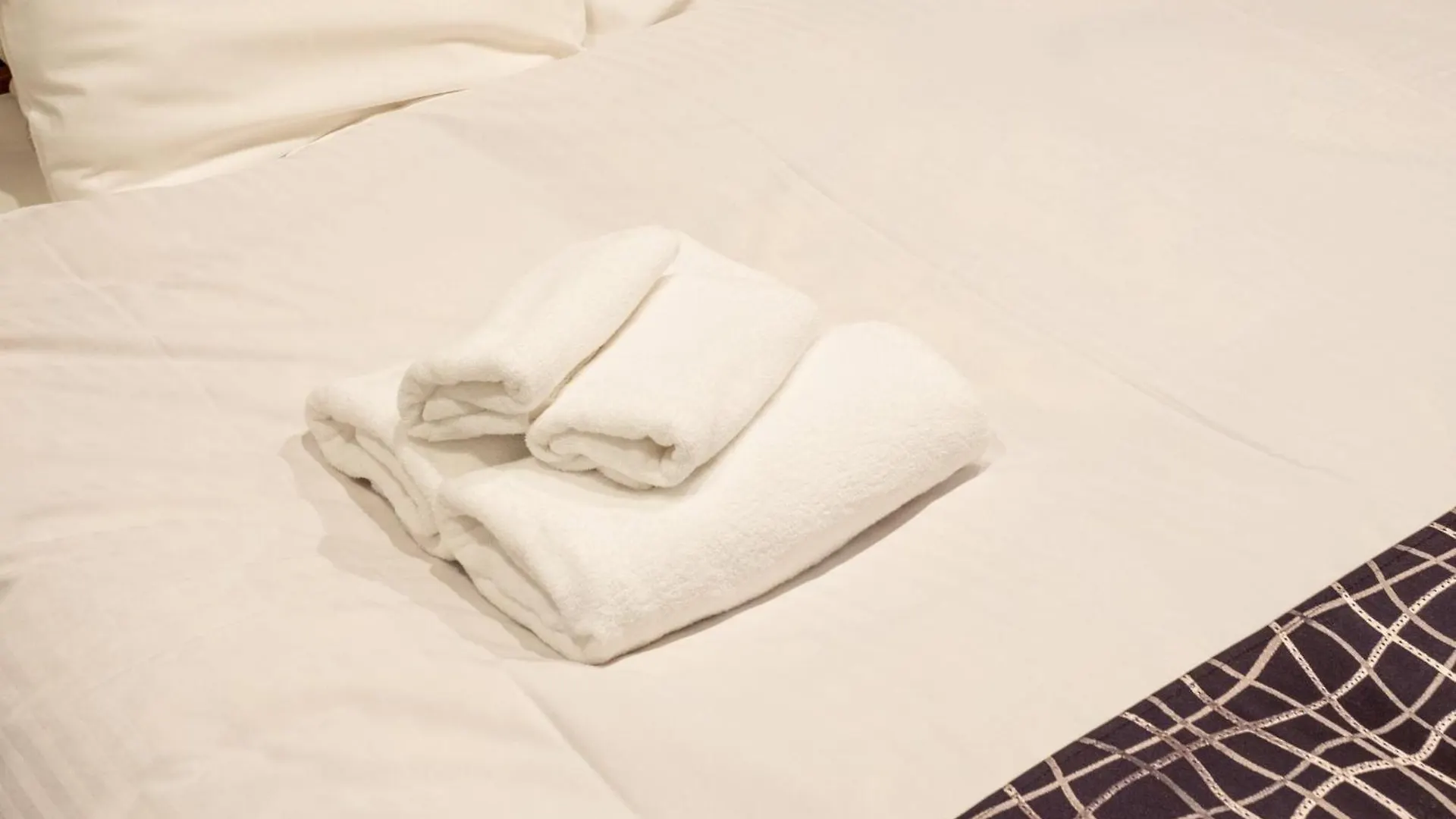 Dog And Cat Friendly Inn Kyoto 